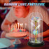 Galaxy Rose Gift with LED string lights